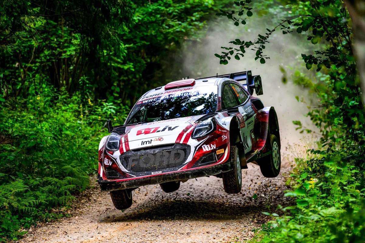 TRES PUMA EN LAS MONTAÑAS DE CHILE TRES PUMA EN LAS MONTAÑAS DE CHILE