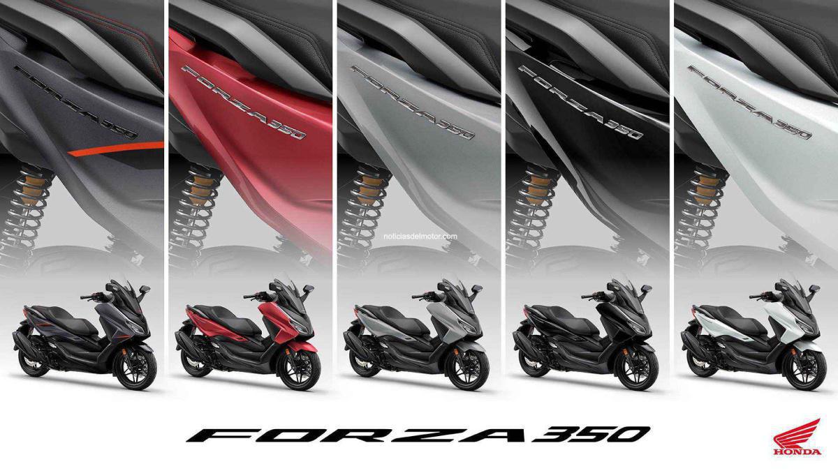 LA FAMILIA PREMIUM FORZA RECIBE CAMBIOS ESTÉTICOS, MEJORAS DE EQUIPAMIENTO Y MAYOR PRACTICIDAD EN 2025