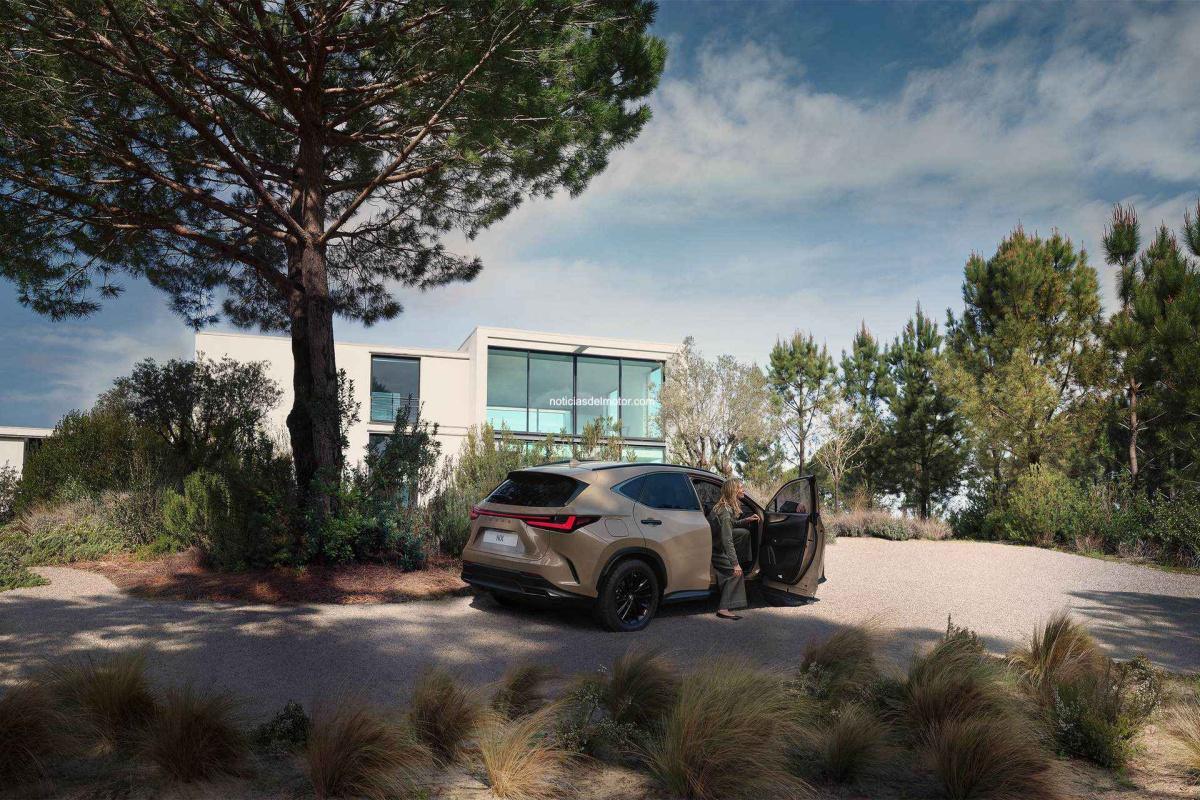 LEXUS ESPAÑA CIERRA 2024 CON LA MEJOR CIFRA DE MATRICULACIONES DE SU HISTORIA LEXUS ESPAÑA CIERRA 2024 CON LA MEJOR CIFRA DE MATRICULACIONES DE SU HISTORIA
