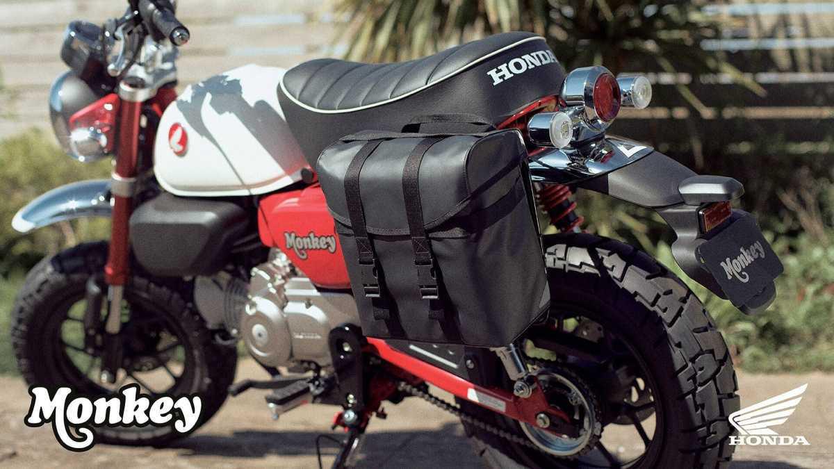 HONDA ANUNCIA NUEVOS COLORES Y HOMOLOGACIÓN EURO5+ PARA LAS LEGENDARIAS DAX, MONKEY Y SUPER CUB C125 2025