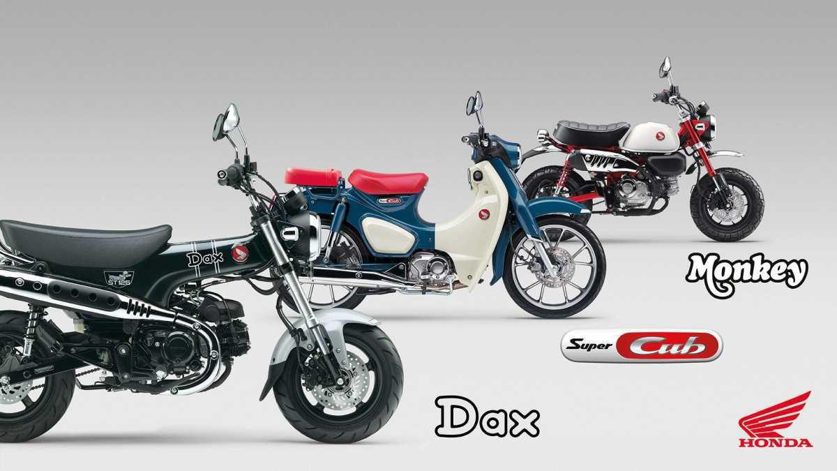 HONDA ANUNCIA NUEVOS COLORES Y HOMOLOGACIÓN EURO5+ PARA LAS LEGENDARIAS DAX, MONKEY Y SUPER CUB C125 2025