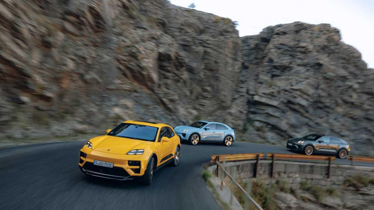 EL MACAN EN EL PARAÍSO DE LAS CURVAS EN MONTENEGRO
