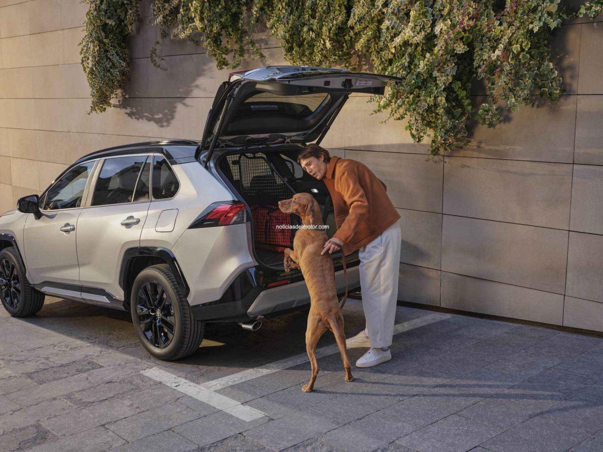ESTE VERANO CUENTA CON LOS NUEVOS ACCESORIOS EN SEGURIDAD, MOVILIDAD Y COMODIDAD PARA TU TOYOTA