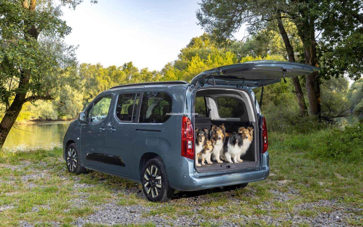OPEL COMBO ELECTRIC: PLACER DE CONDUCCIÓN ACOMPAÑADO DE TUS PERROS Y LA FAMILIA