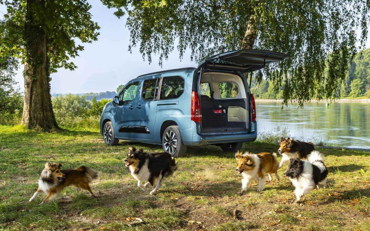 OPEL COMBO ELECTRIC: PLACER DE CONDUCCIÓN ACOMPAÑADO DE TUS PERROS Y LA FAMILIA OPEL COMBO ELECTRIC: PLACER DE CONDUCCIÓN ACOMPAÑADO DE TUS PERROS Y LA FAMILIA