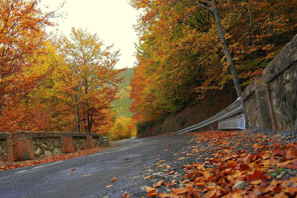 LAS SALIDAS DE VÍA, RESPONSABLES DE UNO DE CADA TRES FALLECIDOS EN CARRETERA: UN PROBLEMA EVITABLE CON LA TECNOLOGÍA ADECUADA LAS SALIDAS DE VÍA, RESPONSABLES DE UNO DE CADA TRES FALLECIDOS EN CARRETERA: UN PROBLEMA EVITABLE CON LA TECNOLOGÍA ADECUADA