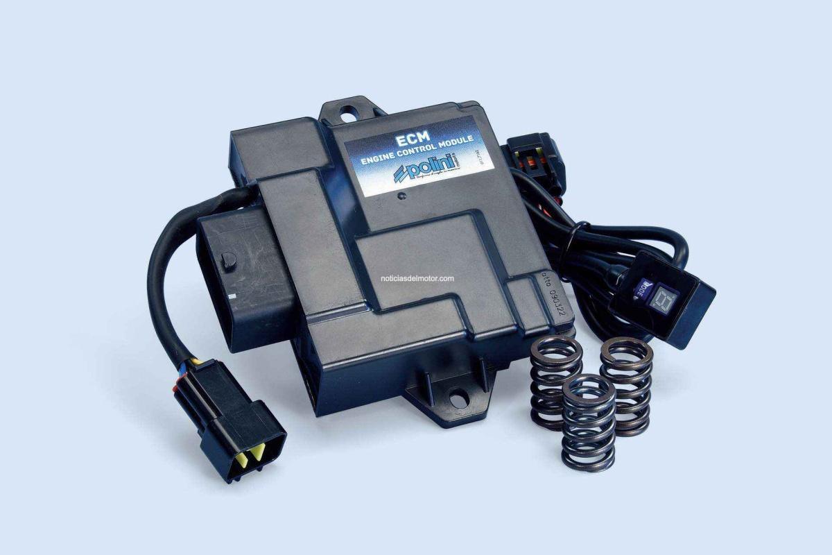 ECM POLINI PARA VESPA Y LIBERTY 50 EURO 5