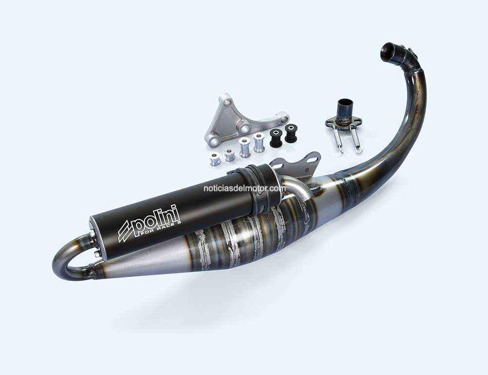 ESCAPES POLINI FOR RACE 5