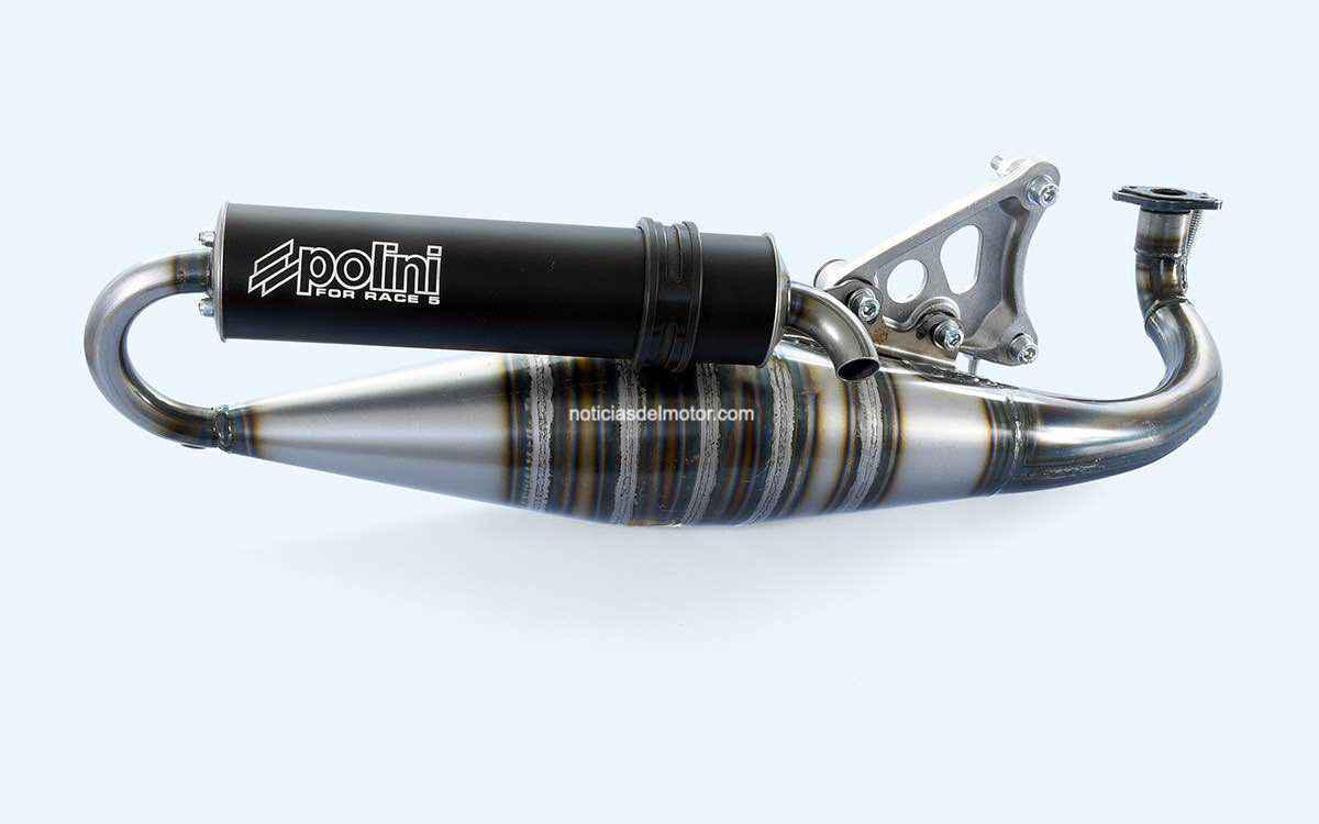 ESCAPES POLINI FOR RACE 5