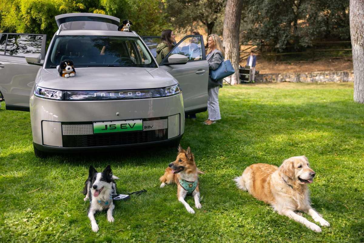 OMODA & JAECOO PROPONE UNA FORMA SEGURA, CÓMODA Y SIN ESTRÉS DE VIAJAR CON NUESTROS MEJORES AMIGOS OMODA & JAECOO PROPONE UNA FORMA SEGURA, CÓMODA Y SIN ESTRÉS DE VIAJAR CON NUESTROS MEJORES AMIGOS