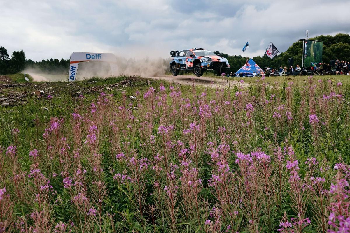 Hyundai Motorsport: Previo Rally de Finlandia Hyundai Motorsport: Previo Rally de Finlandia