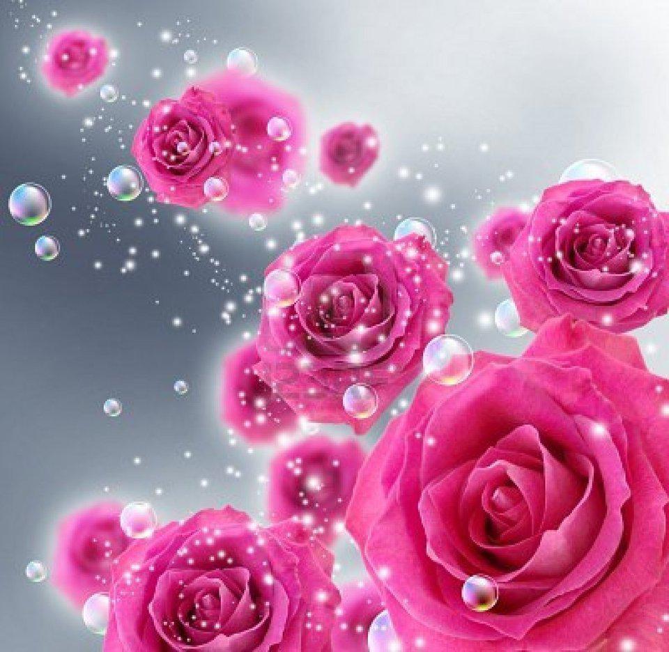 LAISSEZ PASSER LA VAGUE ROSE !