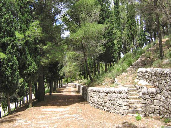 La Pineta - The Pine Grove