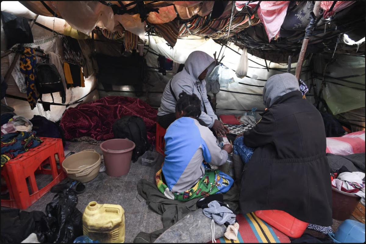 Des milliers de migrants bloqués dans les oliveraies tunisiennes suite au durcissement des politiques migratoires 