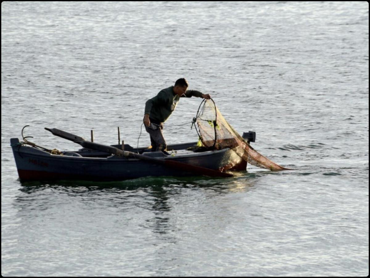 Les héros oubliés de la mer : La vie difficile des pêcheurs de Tunis