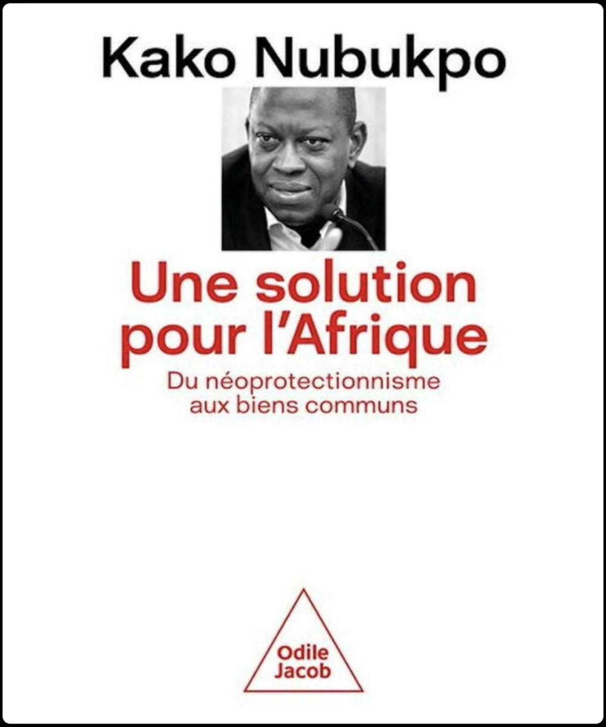 L'Afrique en quête d'une nouvelle voie de développement souverain