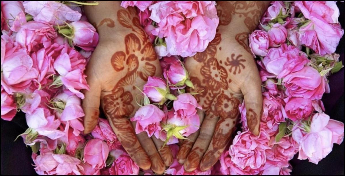 Kelâat M’Gouna fête la 60ème édition du salon international de la rose à parfum