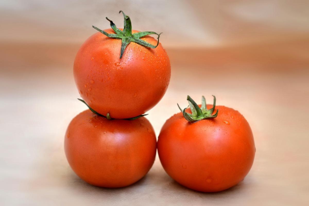 Percée agricole marocaine : l'UE ouvre ses marchés aux produits du Sahara malgré les contestations