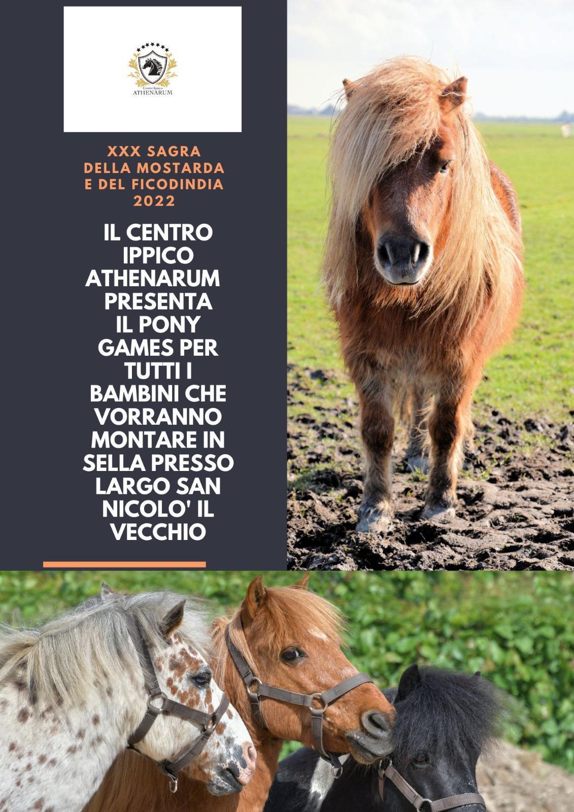 "Pony Games" per tutti i bambini che vorranno montare in sella