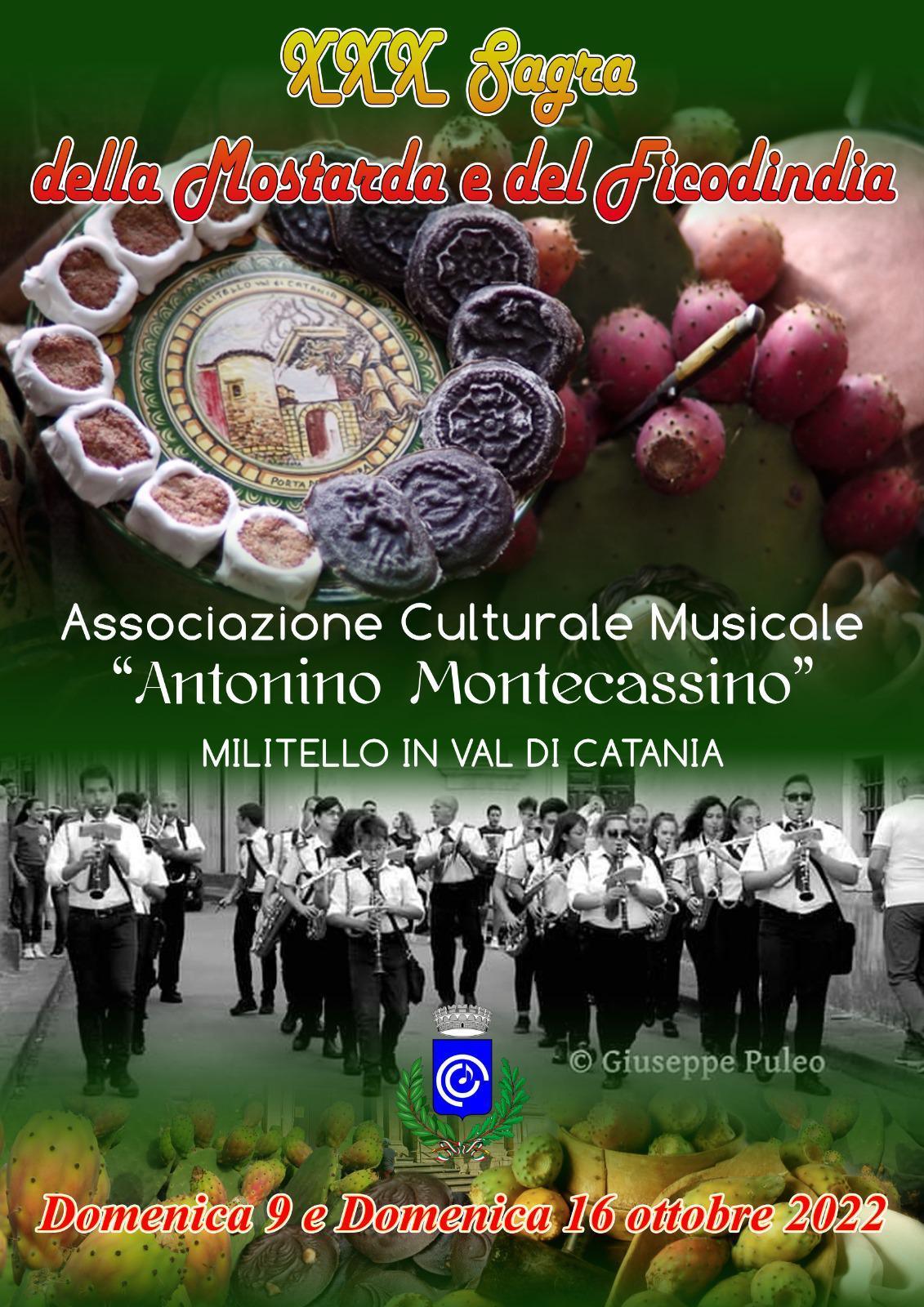 Esibizione dell'Associazione Culturale Musicale "Antonino Montecassino" di Militello