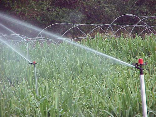 Menaces sur la filière canne – sucre : le PCR interpelle le Commissaire européen à l’Agriculture