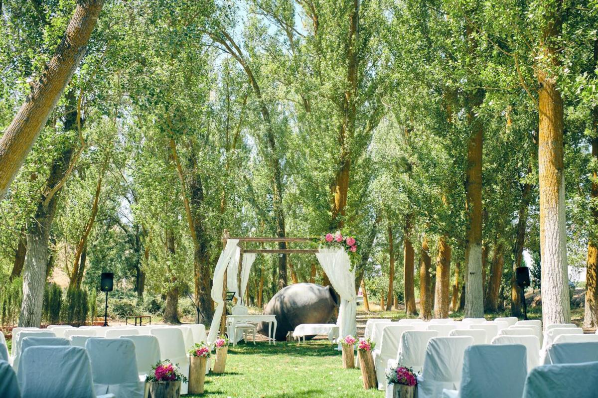 Bodas Bodas