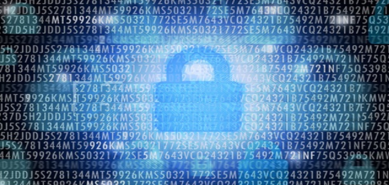 Cyber Security Partners by Brands of Security solution providers 