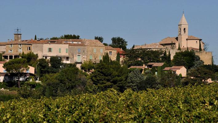 La Maison Brotte, une histoire de famille à Châteauneuf-du-Pape (Vidéo)