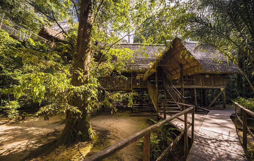 Camp Canopée - © A.Brusini/CTGuyane