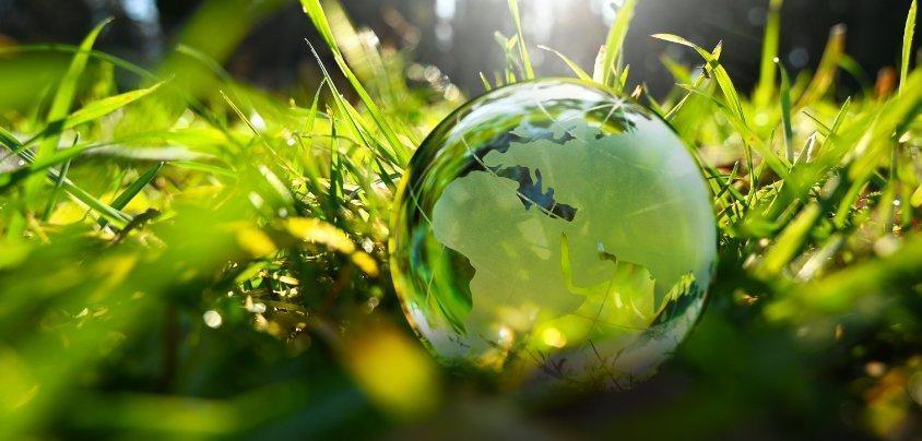  "Rendiamo + Green Mirto" (inizio ore 17:30)