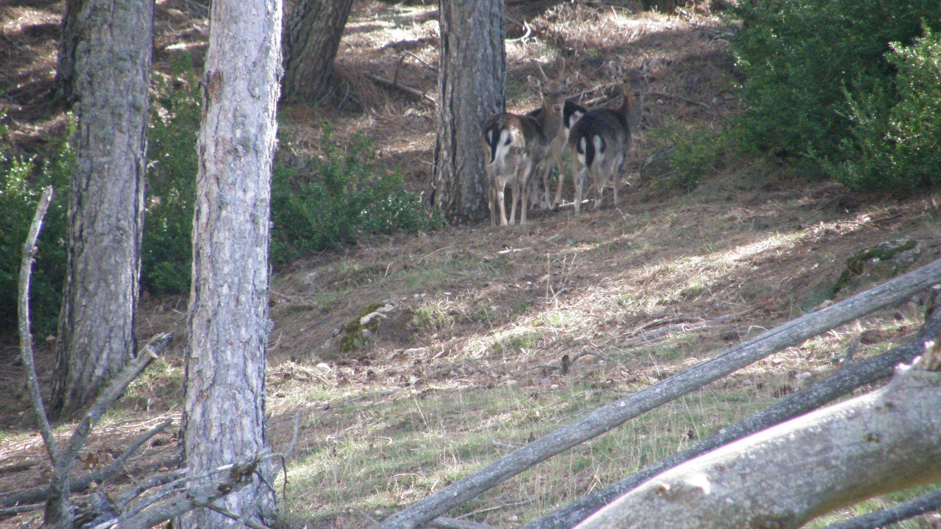 P3170034