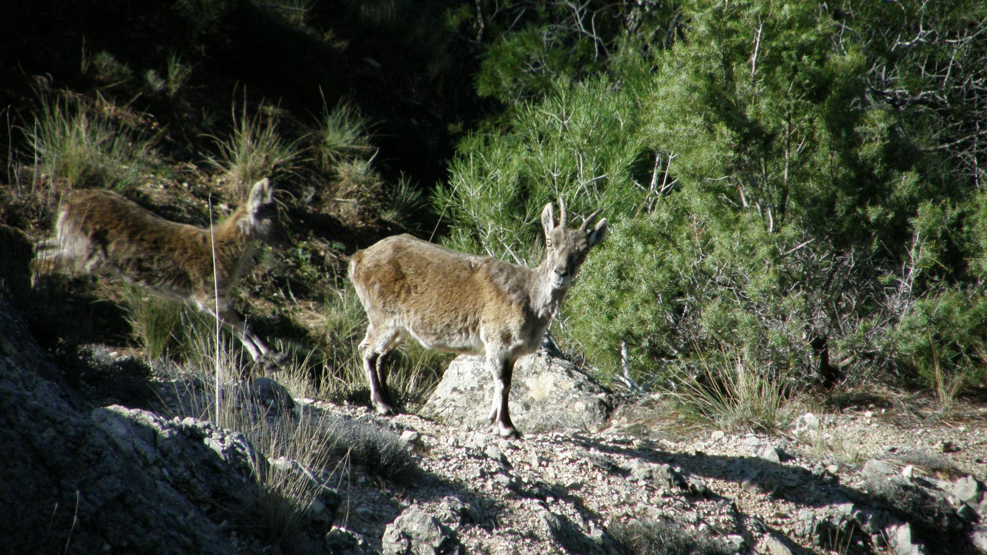 P3170039