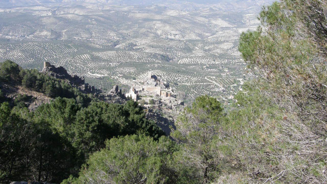 P3170038