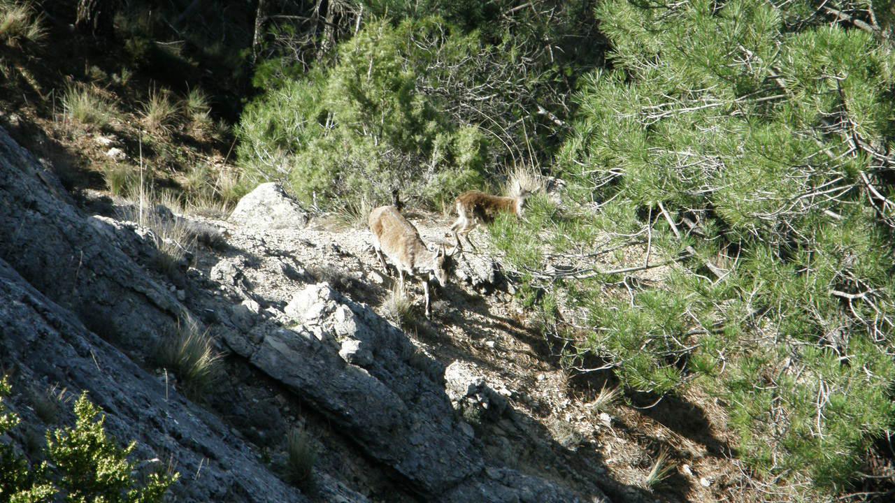 P3170040