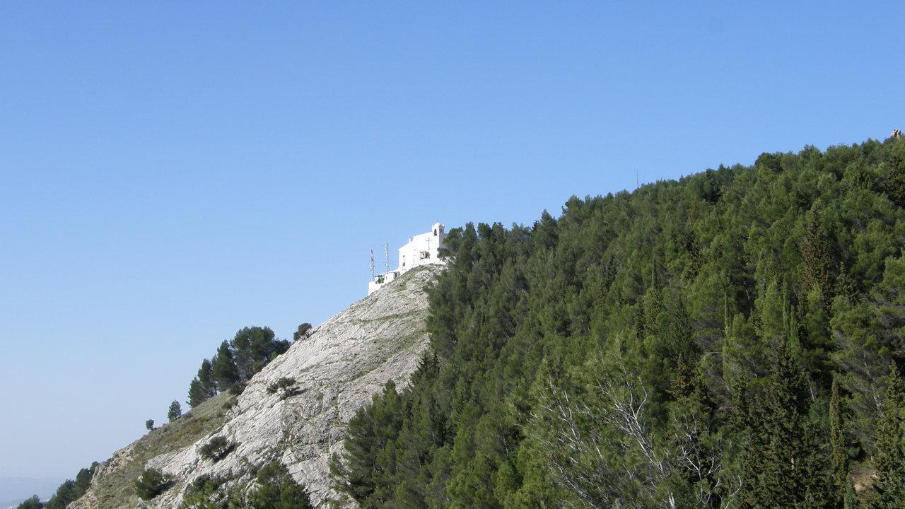 P3170051