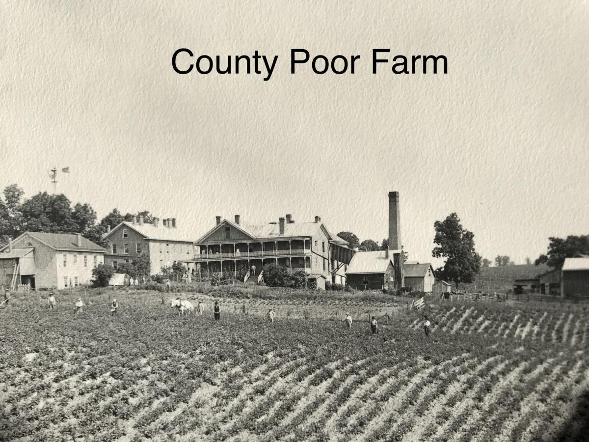 The Hanging of John Taylor The Hanging of John Taylor