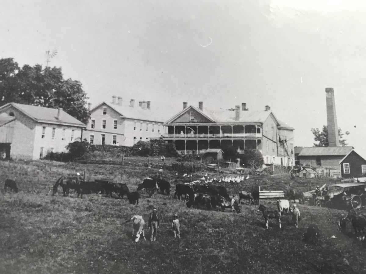 The Hanging of John Taylor The Hanging of John Taylor