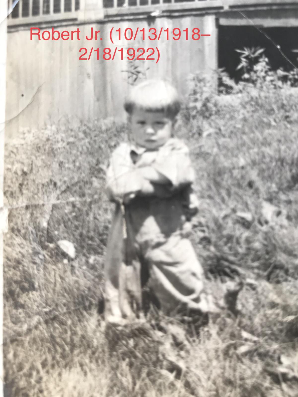 “Don’t Blame the Dog!” “Don’t Blame the Dog!”