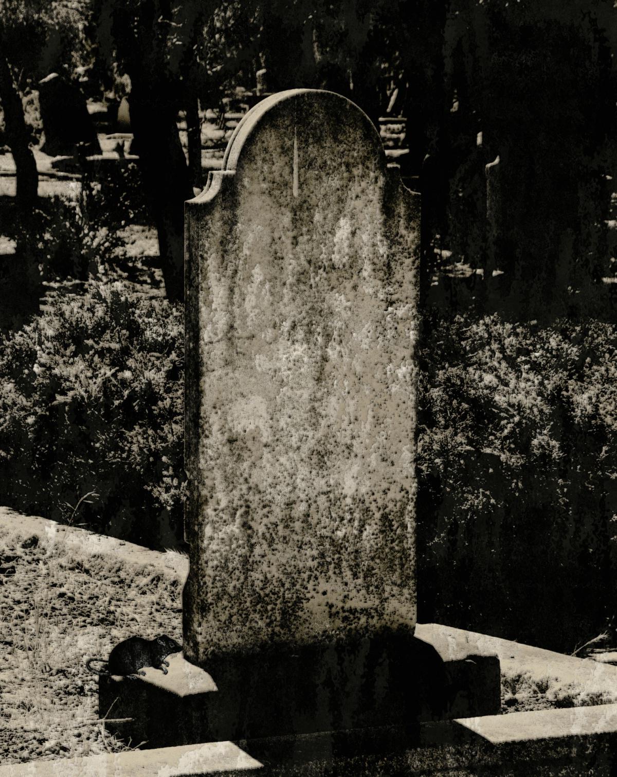 The Ghost of Mary Anne Miller The Ghost of Mary Anne Miller