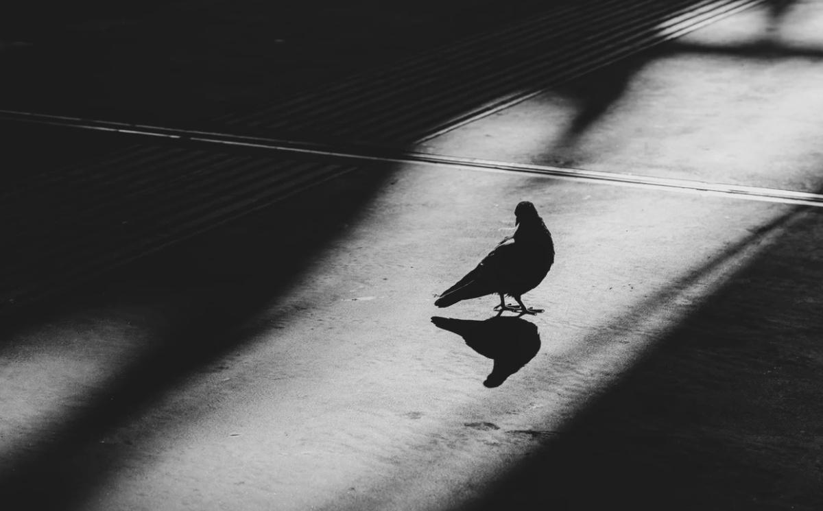 “Children At Play” “Children At Play”