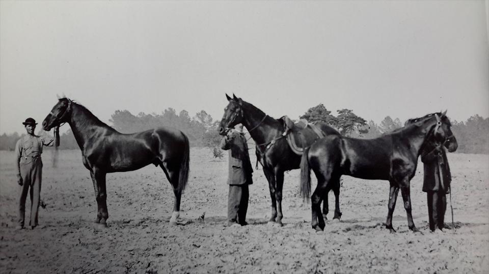 08. Grant's Accomplishments & Trivia 08. Grant's Accomplishments & Trivia