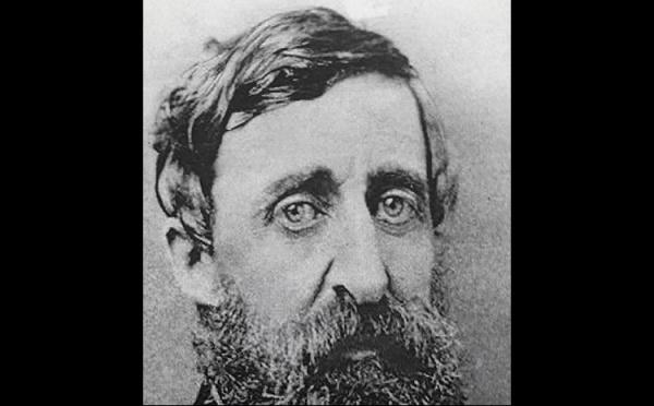 13.  Henry David Thoreau