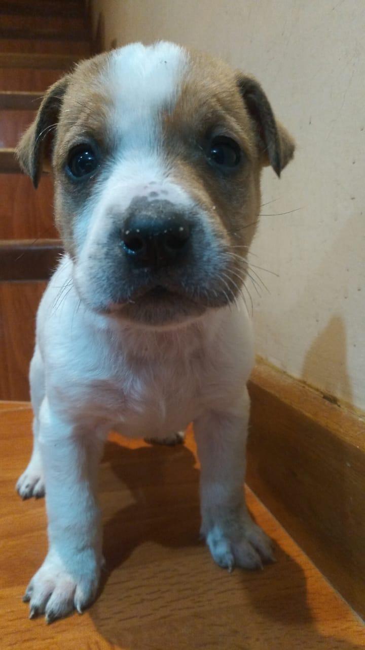 BILLY
