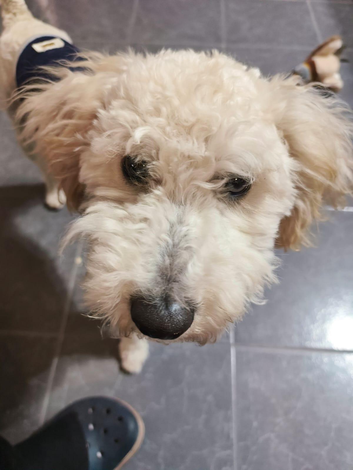ALFIE