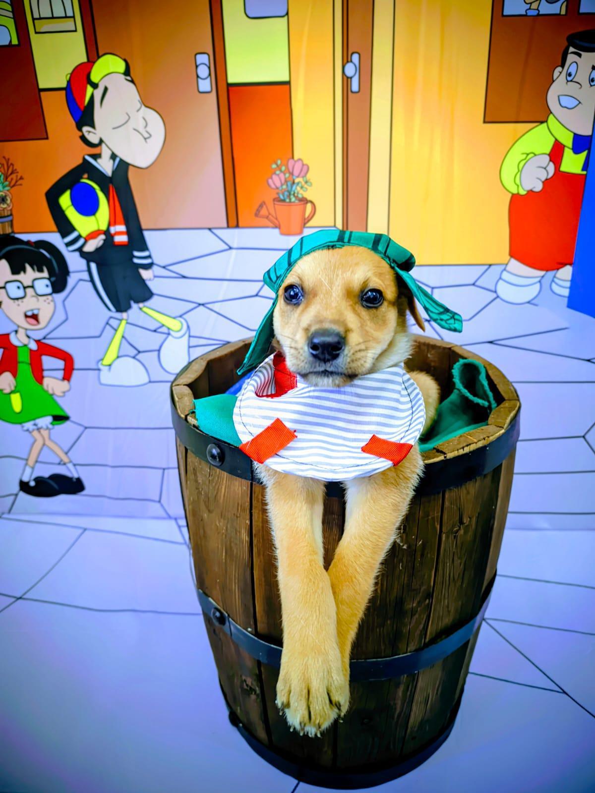 CHAVO