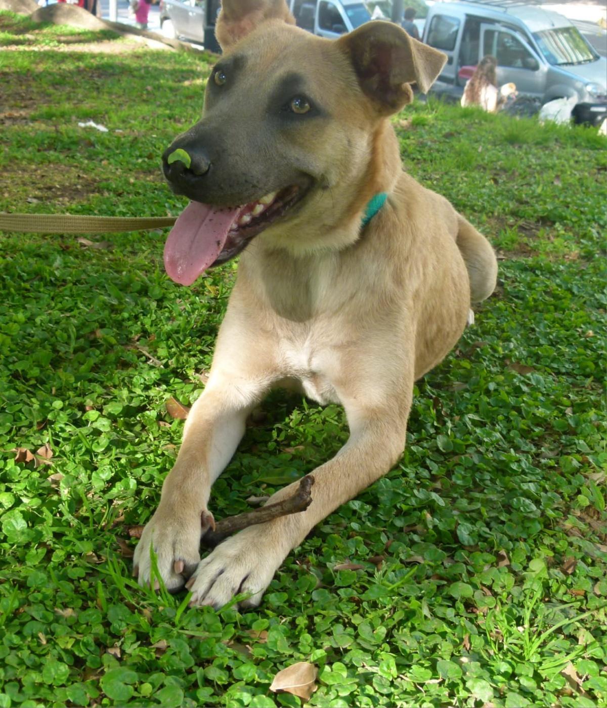 DORALI
