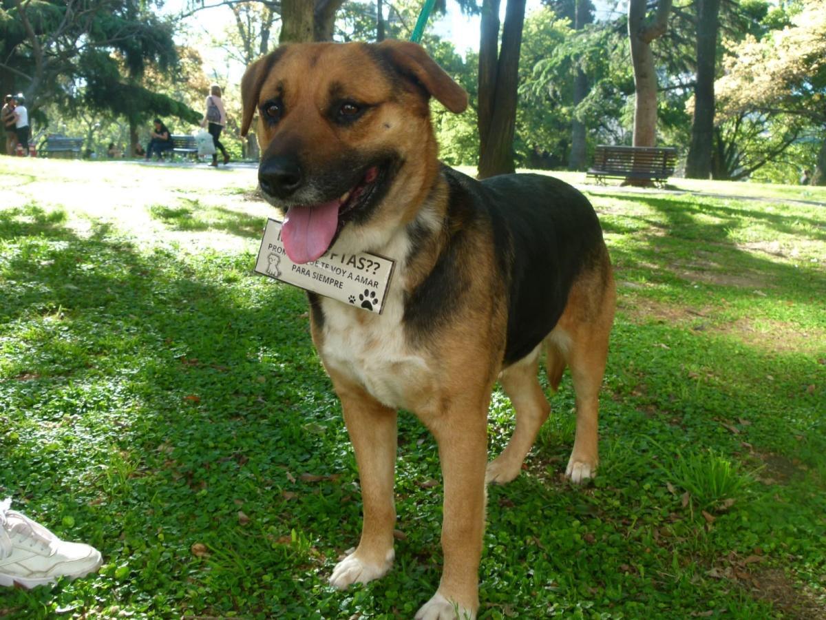 OTTO