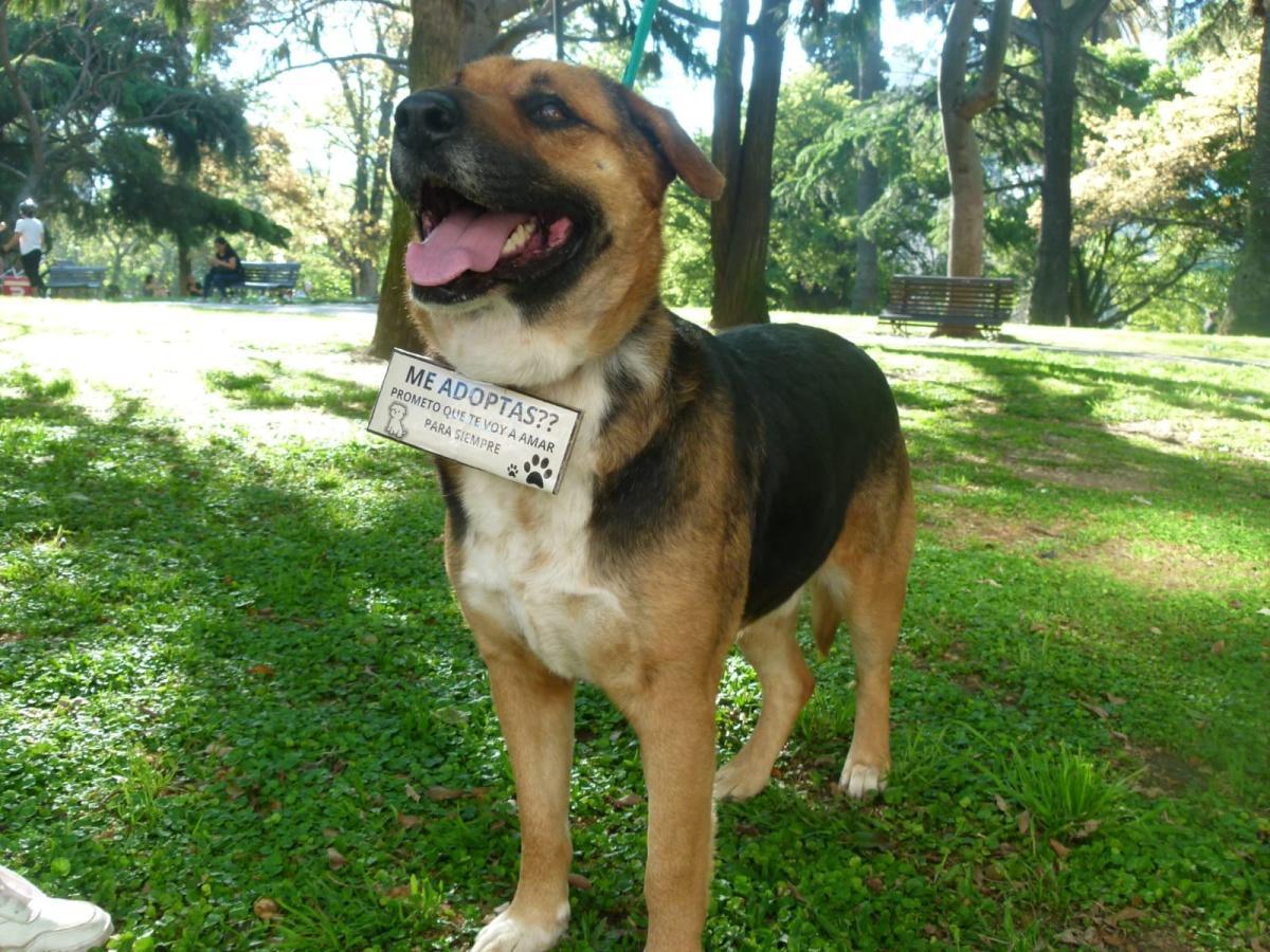 OTTO