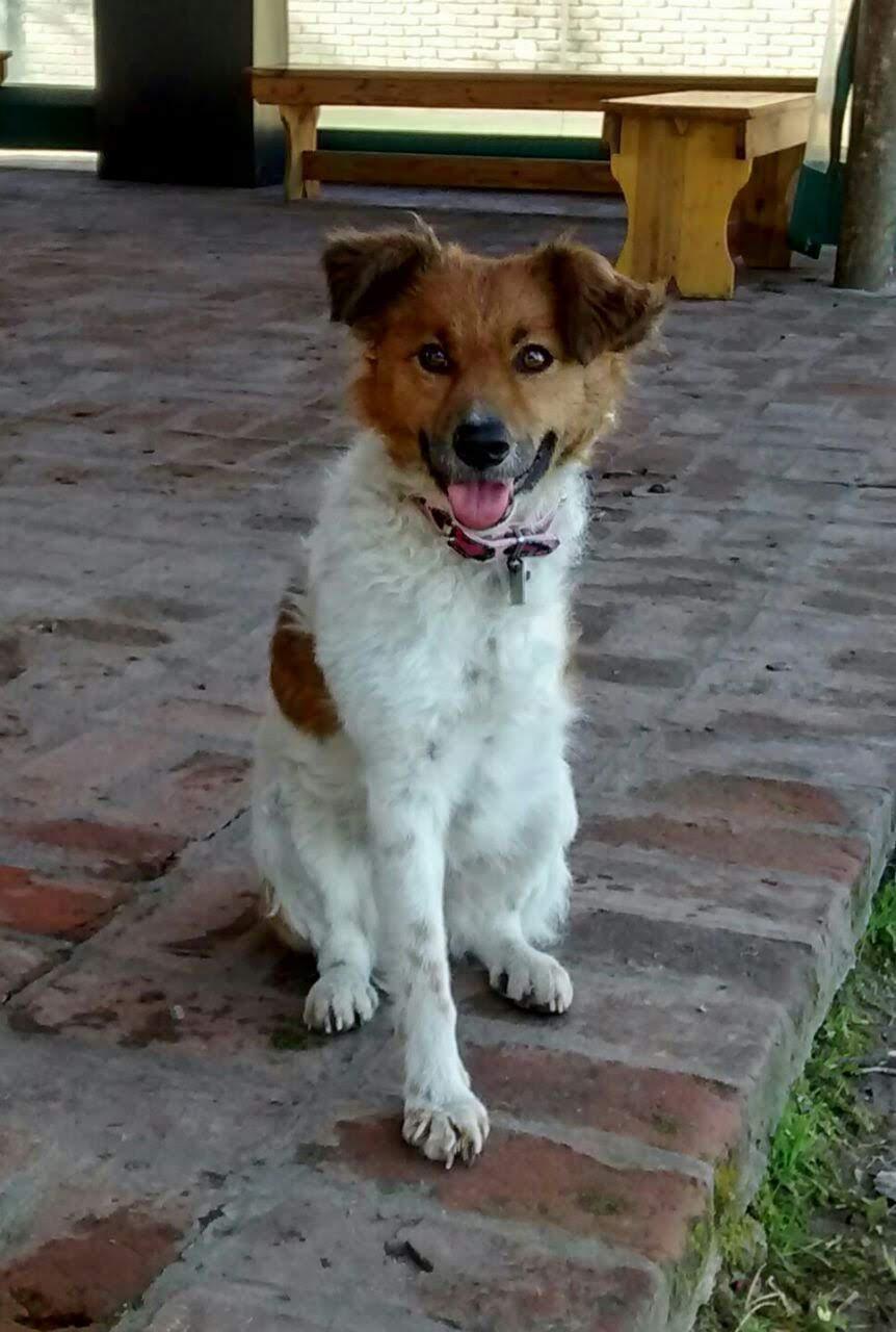 MALENKA