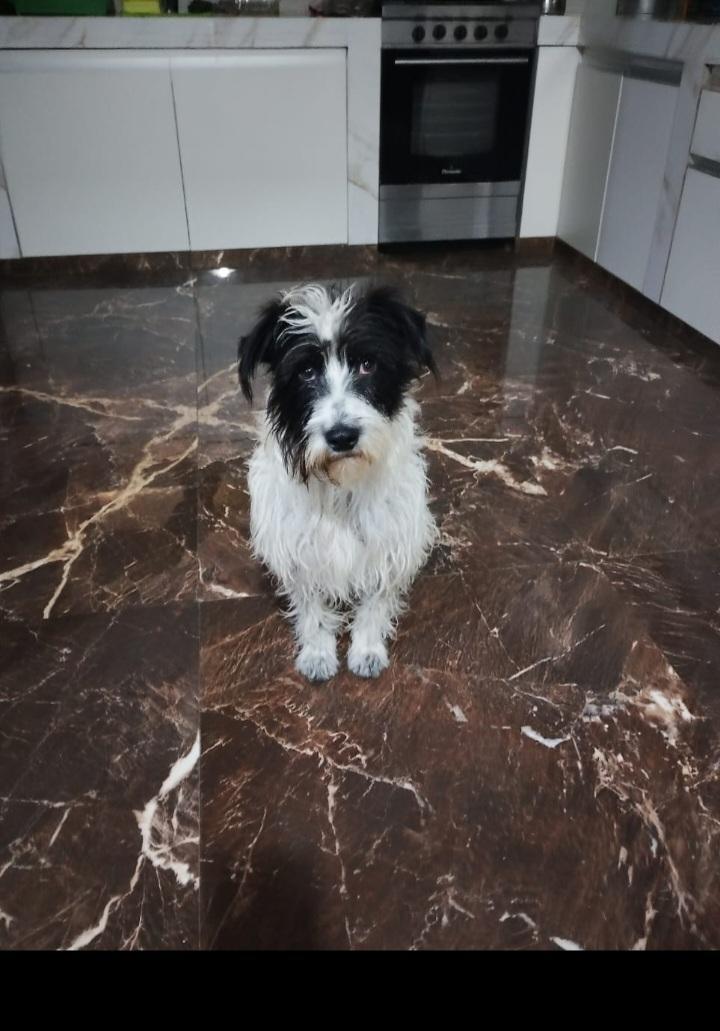ROSITA